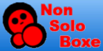 Logo_nonsoloboxe.png