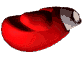 gloves_dx.gif